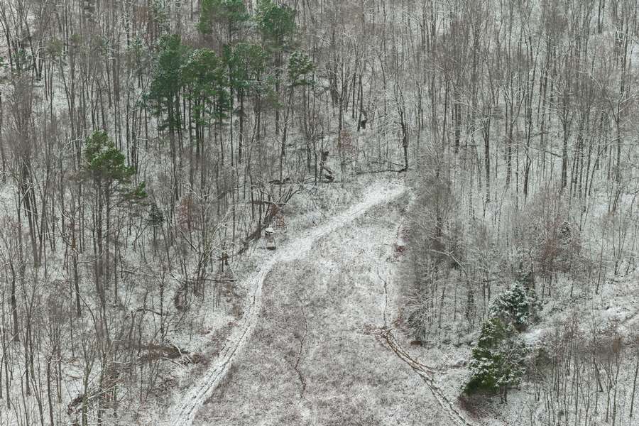 14-0 Waggener Ch-Chalbeate Rd Clay KY 42404_20251203_014.jpg